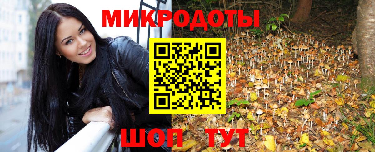 где можно купить   Вход с VPN  Серов  Псилоцибиновые грибы GOLDEN TEACHER 