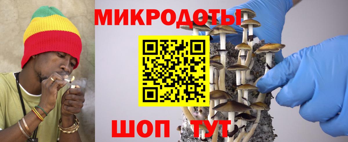 Галлюциногенные грибы Psilocybine cubensis Серов